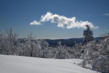 Mont Aigoual View