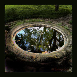 the pond