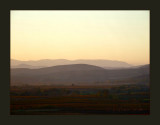 evening mood in the vines...