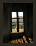 afternoon light in the stable