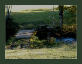 ce petit pont de bois...