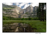 Yosemite Falls From Cooks Meadow