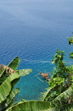 Pulau Ambon