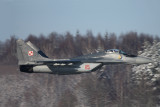 IMG_6613.jpg
