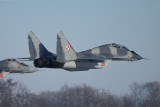 IMG_6620.jpg