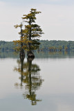 IMG_0305 copy.jpg