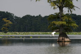 IMG_0321 copy.jpg