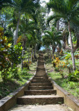 Steps at Pirates Bay