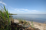 Lakeshore - Lake Ponchatrain