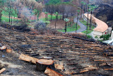 The International Olympic Academy was once invisible from this point