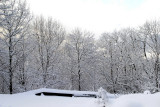 1218 Snow_31.jpg