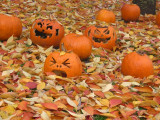 Left-over Pumpkins