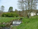 Colby Woodland Garden