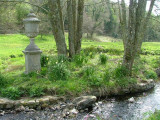 Colby Woodland Garden