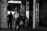 DSC_1047.jpg