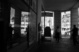 DSC_1001.jpg