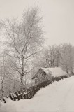 DSC_5369.jpg