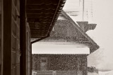 DSC_5314.jpg