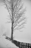 DSC_5189.jpg