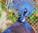 DSC_0139 a.jpg