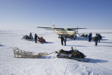 Meeting the plane