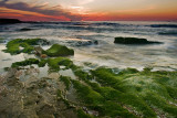 QD2J8469_F_FL.jpg