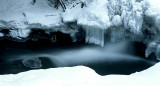 Ice Udder