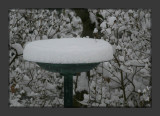 Birdbath