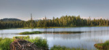 Beaver Pond I