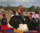 Bull Ride