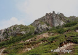 East Coast Landscape