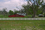 Barn with wildflowers