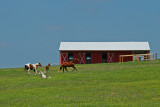 DSC_3728e.jpg