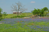 DSC_3769e.jpg