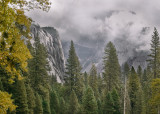 Yosemite National Park 2007