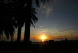 Sunset on Newport Harbor