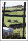 Haymaking