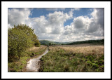 Mid Wales