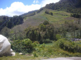 Farming