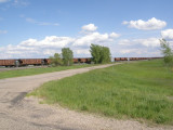 Freight Train