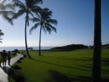 The Grounds