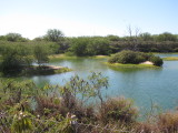 Bird Sanctuary