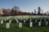 A place of Honor