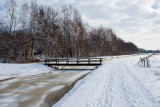 20100130_haren-4.jpg