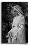 Statue in the Grotto of Lourdes