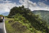 highway through rainforest
