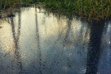 frozen pond