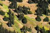 hurricane ridge