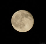 fullmoon08170801062.jpg