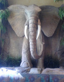 Elephant-BarDSC00609.jpg